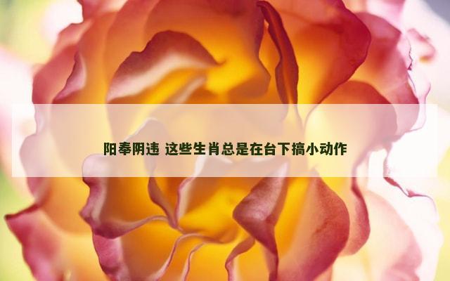 阳奉阴违 这些生肖总是在台下搞小动作
