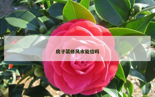 房子装修风水能信吗