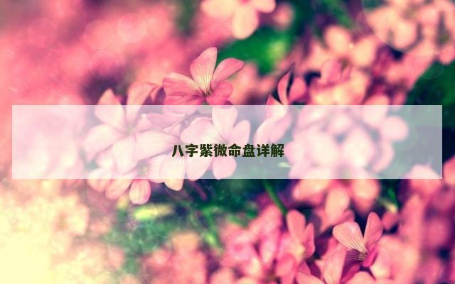 八字紫微命盘详解