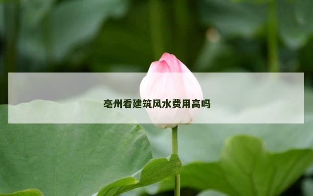 亳州看建筑风水费用高吗