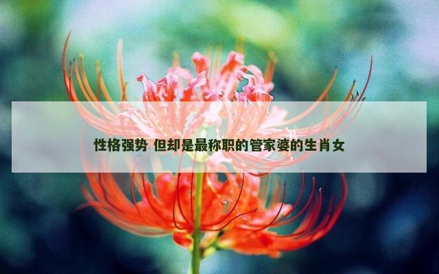 性格强势 但却是最称职的管家婆的生肖女