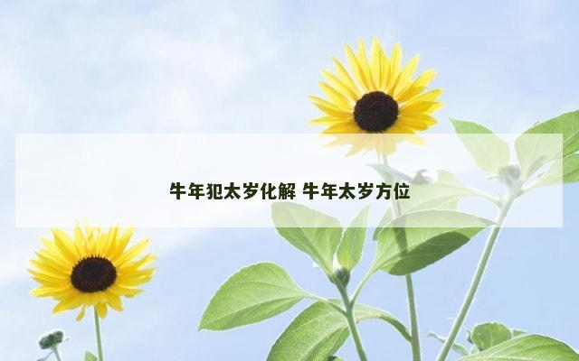 牛年犯太岁化解 牛年太岁方位