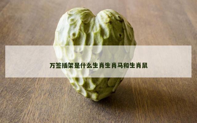 万签插架是什么生肖生肖马和生肖鼠