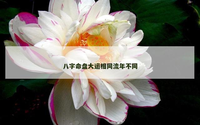 八字命盘大运相同流年不同