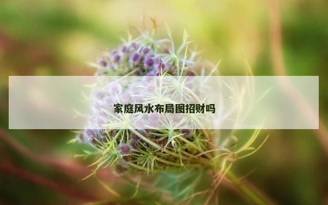 家庭风水布局图招财吗