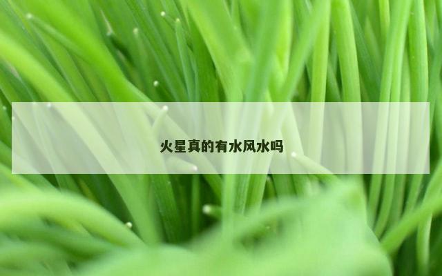 火星真的有水风水吗