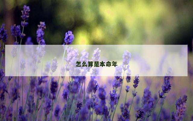 怎么算是本命年