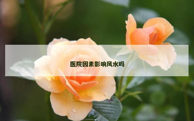 医院因素影响风水吗