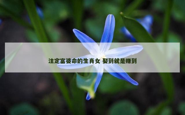 注定富婆命的生肖女 娶到就是赚到