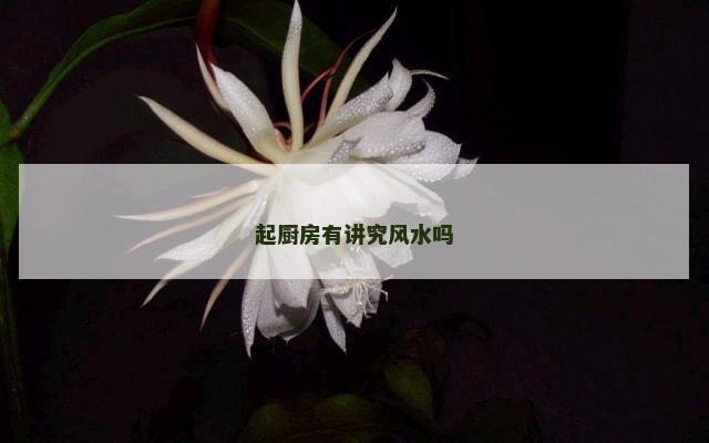 起厨房有讲究风水吗