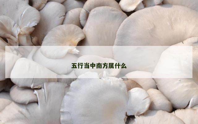 五行当中南方属什么