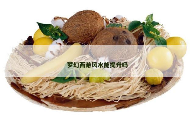 梦幻西游风水能提升吗
