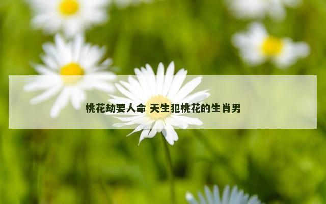 桃花劫要人命 天生犯桃花的生肖男