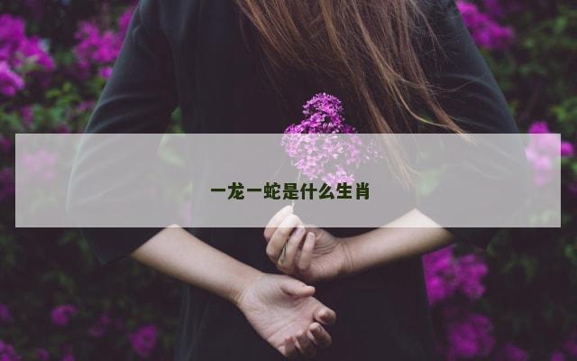 一龙一蛇是什么生肖