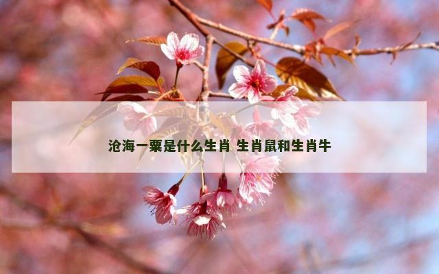 沧海一粟是什么生肖 生肖鼠和生肖牛