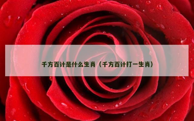 千方百计是什么生肖（千方百计打一生肖）