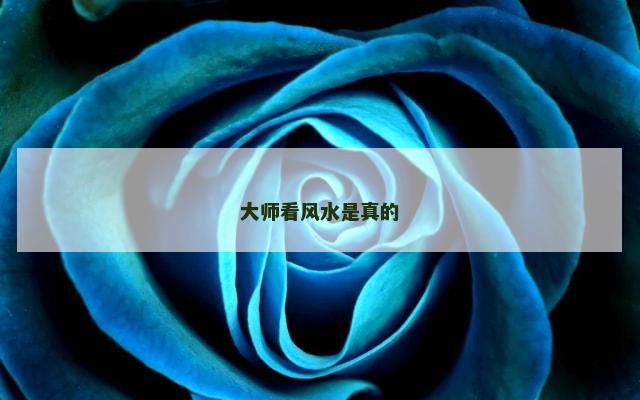 大师看风水是真的