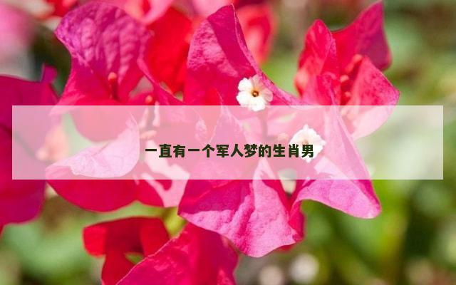 一直有一个军人梦的生肖男