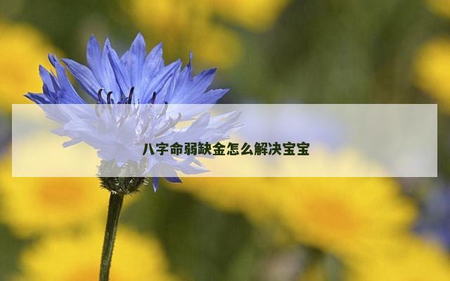八字命弱缺金怎么解决宝宝