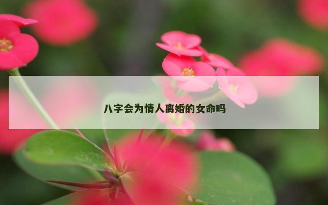 八字会为情人离婚的女命吗