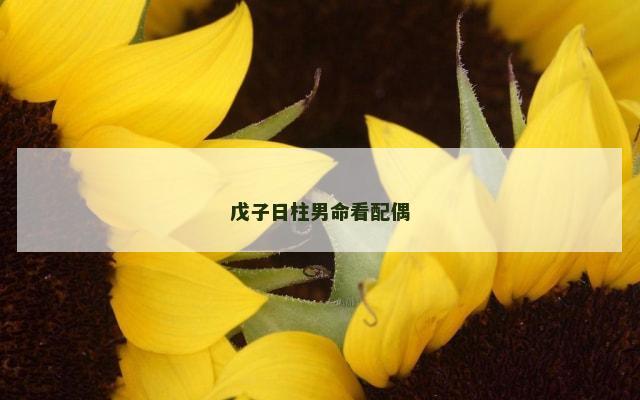 戊子日柱男命看配偶