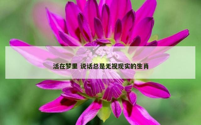 活在梦里 说话总是无视现实的生肖