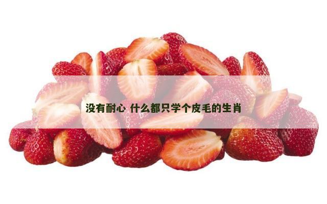 没有耐心 什么都只学个皮毛的生肖