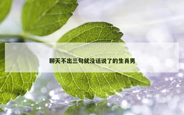 聊天不出三句就没话说了的生肖男