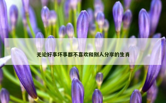 无论好事坏事都不喜欢和别人分享的生肖