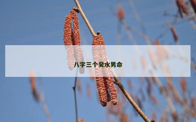 八字三个癸水男命