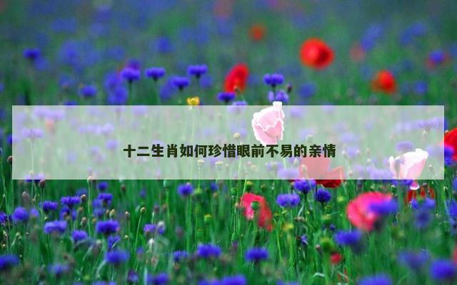 十二生肖如何珍惜眼前不易的亲情