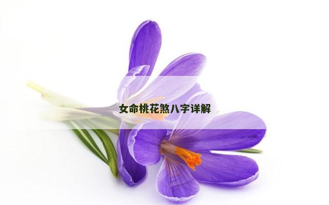 女命桃花煞八字详解