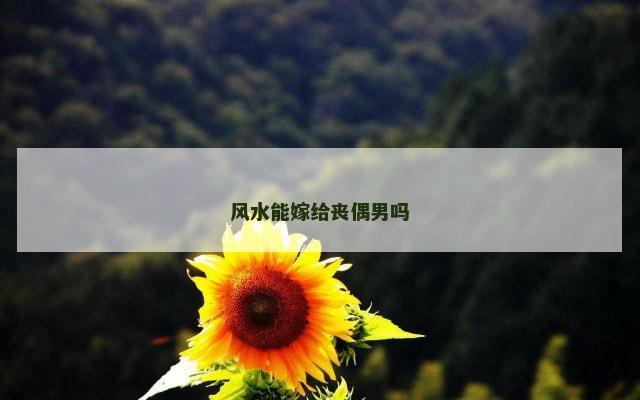 风水能嫁给丧偶男吗
