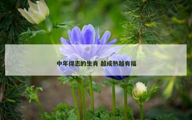 中年得志的生肖 越成熟越有福