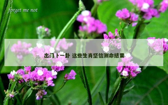 出门卜一卦 这些生肖坚信测命结果