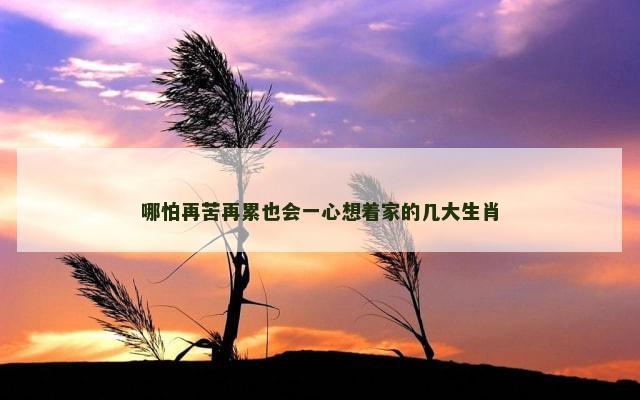 哪怕再苦再累也会一心想着家的几大生肖