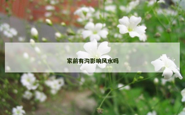 家前有沟影响风水吗