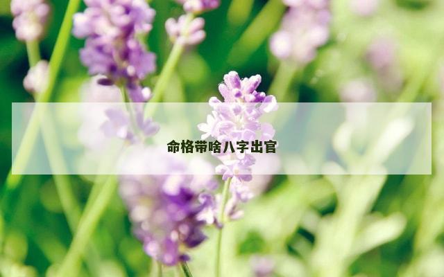 命格带啥八字出官