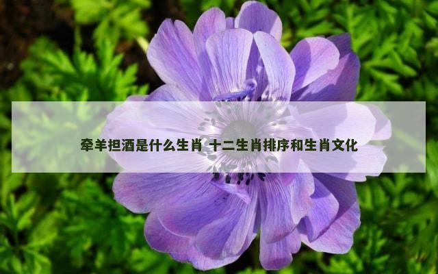 牵羊担酒是什么生肖 十二生肖排序和生肖文化