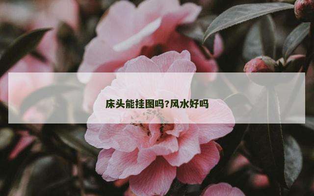 床头能挂图吗?风水好吗