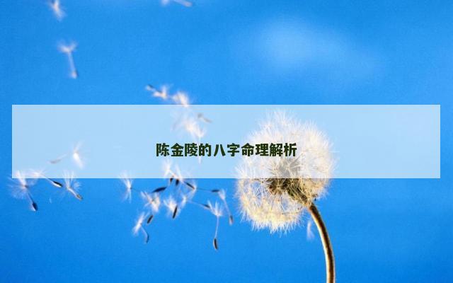 陈金陵的八字命理解析