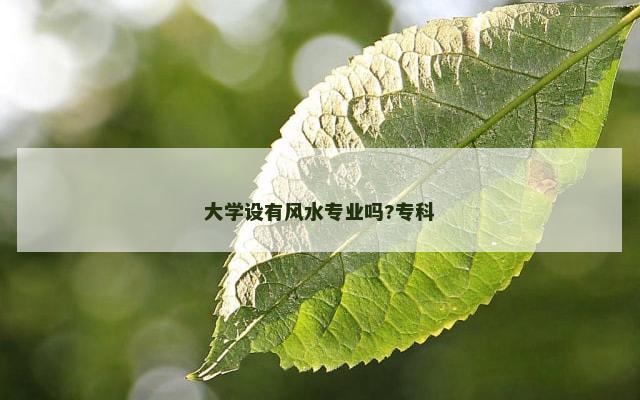 大学设有风水专业吗?专科