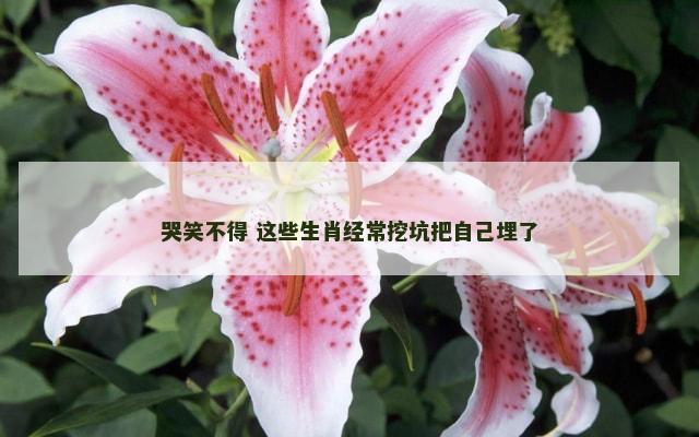 哭笑不得 这些生肖经常挖坑把自己埋了
