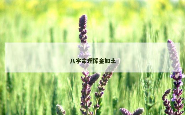 八字命理挥金如土