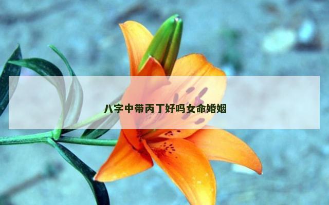 八字中带丙丁好吗女命婚姻