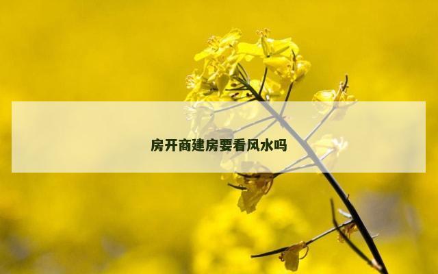 房开商建房要看风水吗
