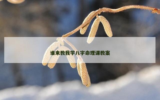 谁来教我学八字命理课教案