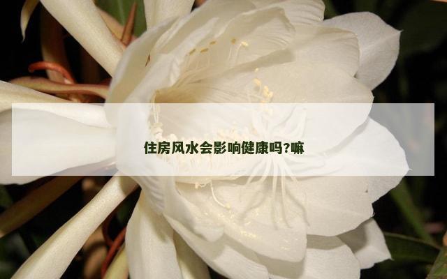 住房风水会影响健康吗?嘛