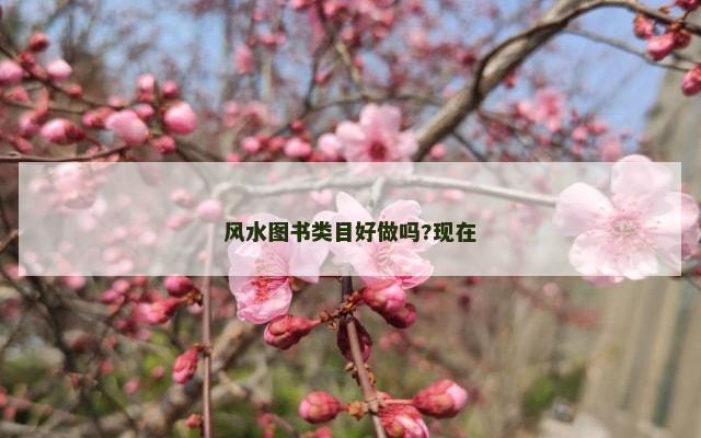 风水图书类目好做吗?现在