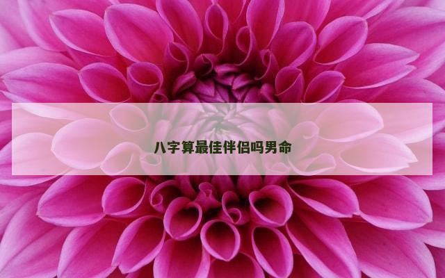 八字算最佳伴侣吗男命